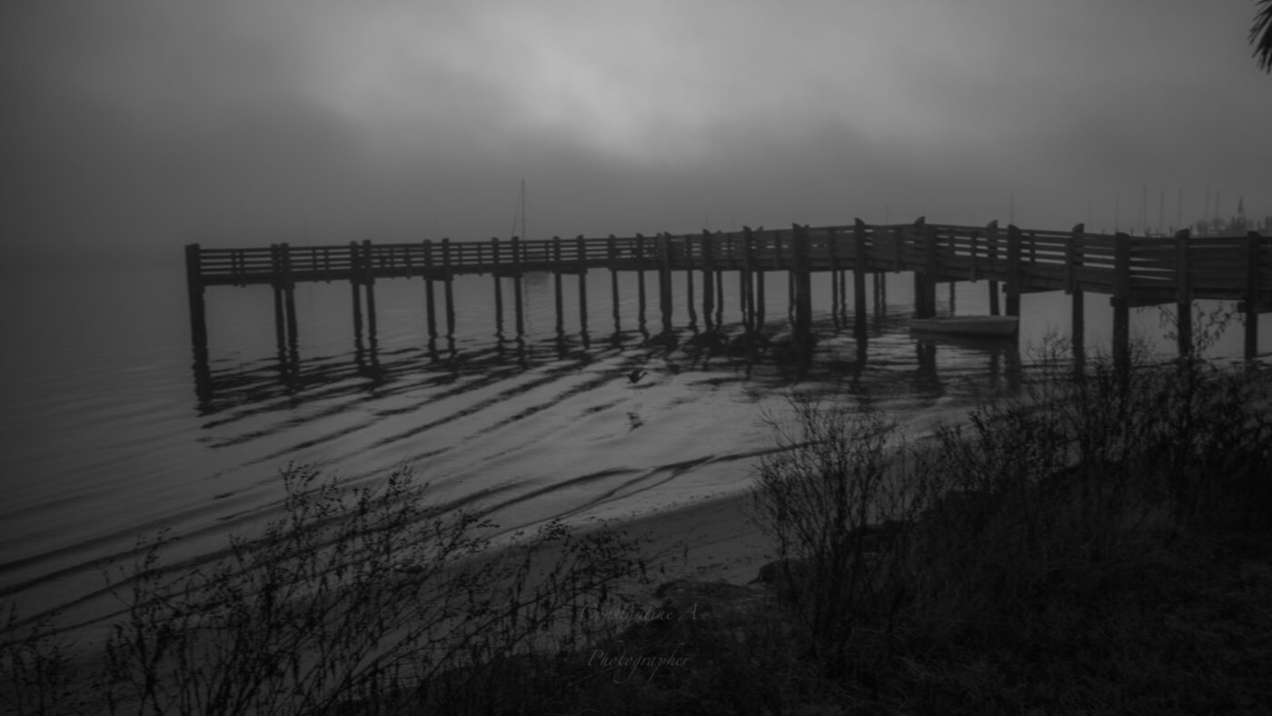 black and white photography